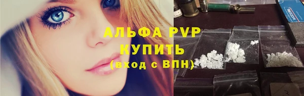 сатива Балахна