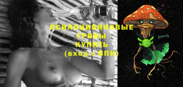 сатива Балахна