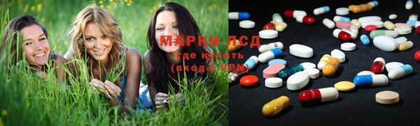 сатива Балахна
