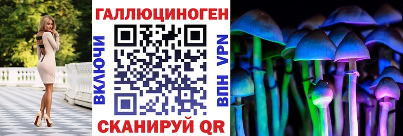наркота  Хасавюрт  Псилоцибиновые грибы прущие грибы 